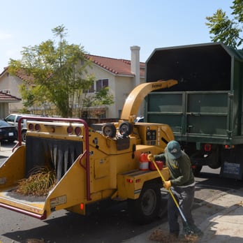 New Image Tree Care - Tree Services Near Me - Corona, California New Image Tree Care - Tree Services Near Me - Corona, California