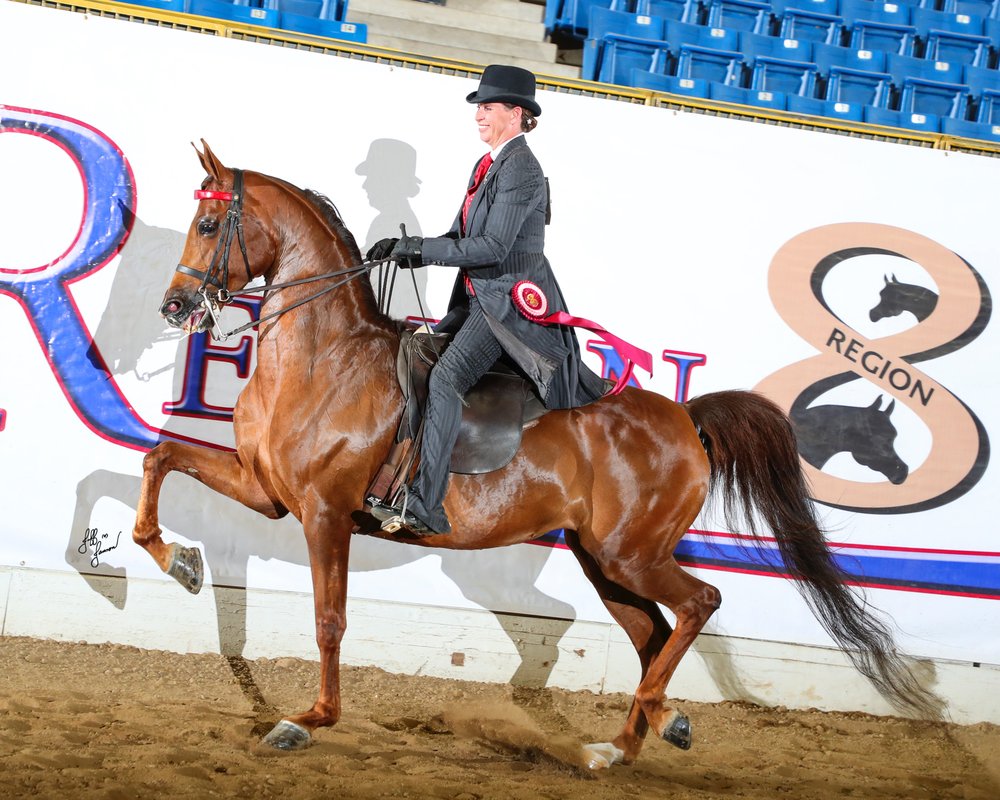 Above Level Training Center - equestrian in Garden City, MO