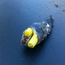 A-1 Gator Wastewater Services - Shitty wire nutted electrical connections buried in the dirt.
