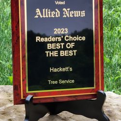 Hackett's Tree Service - 2023 Best of the Best Tree Service Winner