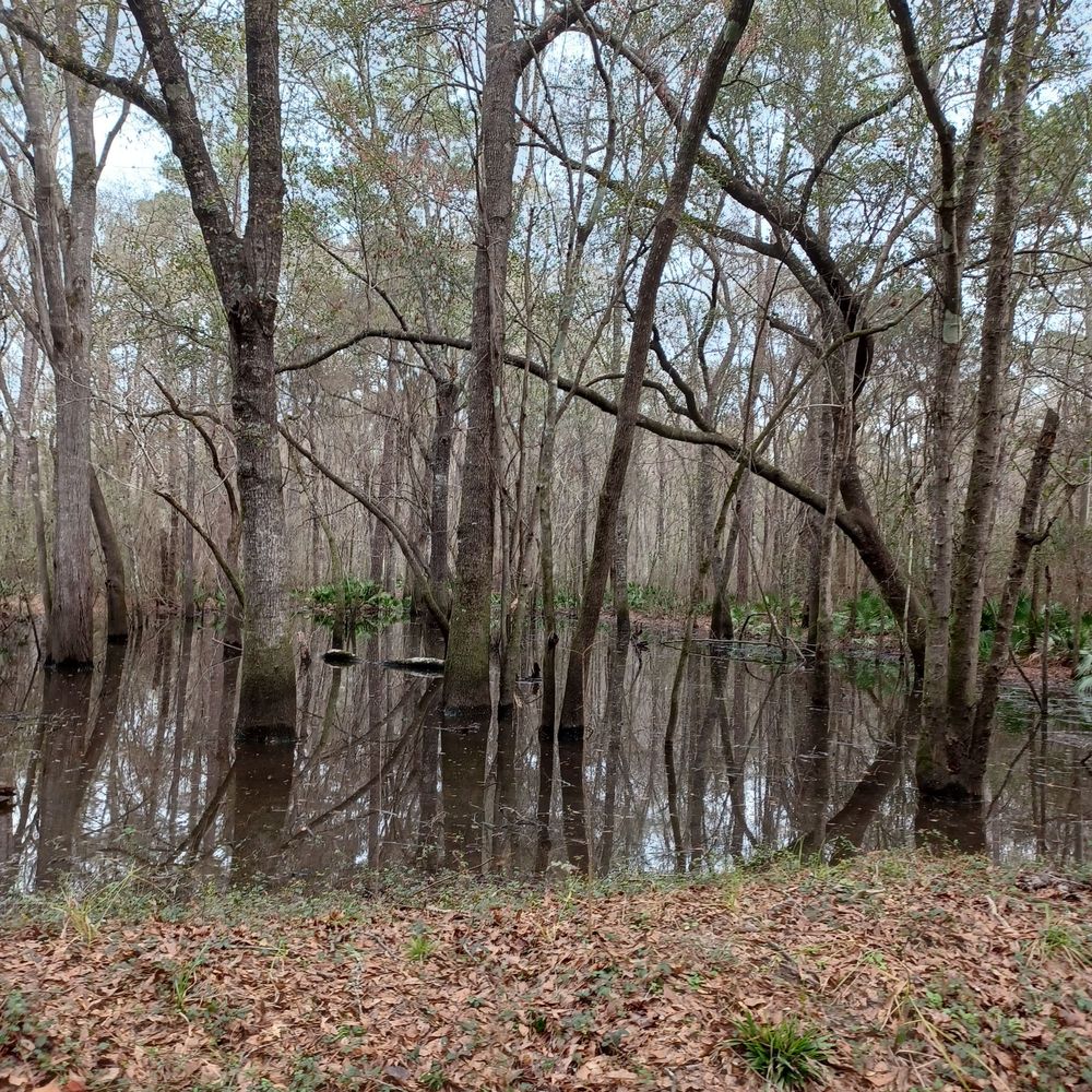 LANGDALE PARK Hyta Mederer Dr, Valdosta, Parks Yelp