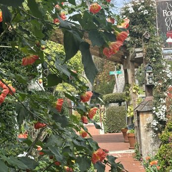 Robins Restaurant - Patio - New American Near Me - Cambria, California