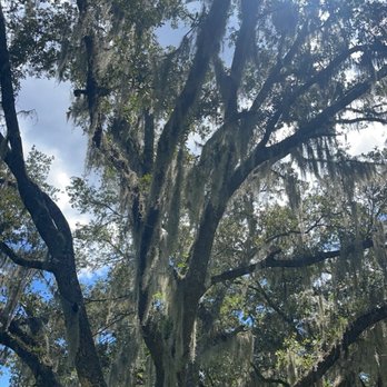 Hopsewee Plantation - Historical Tours Near Me - Georgetown, South Carolina Hopsewee Plantation - Historical Tours Near Me - Georgetown, South Carolina