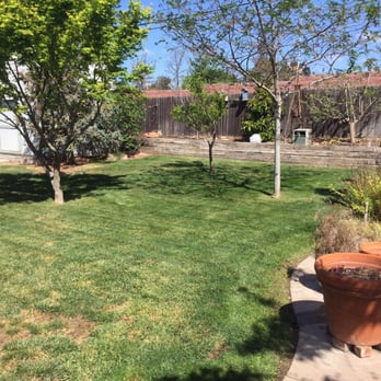 Ninja Lawn Maintenance - a backyard with a tree and a fire hydrant - Lawn Services Near Me - Orcutt, California Ninja Lawn Maintenance - a backyard with a tree and a fire hydrant - Lawn Services Near Me - Orcutt, California