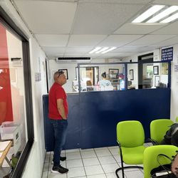 Solar Tintes - Recepción
