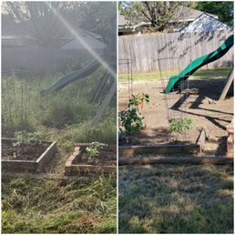 Yard in need of help!