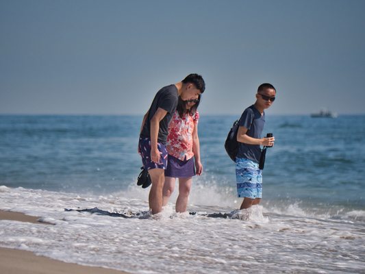 Island Beach State Park by null