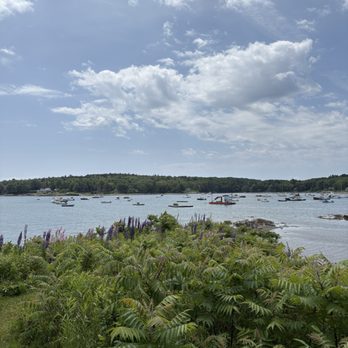 Ulin Point And Lupine Field - Parks Near Me - Bristol, Maine Ulin Point And Lupine Field - Parks Near Me - Bristol, Maine