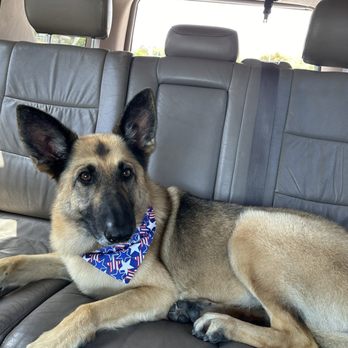 TJ's Mobile Grooming - Pet Groomers Near Me - Oceanside, California TJ's Mobile Grooming - Pet Groomers Near Me - Oceanside, California