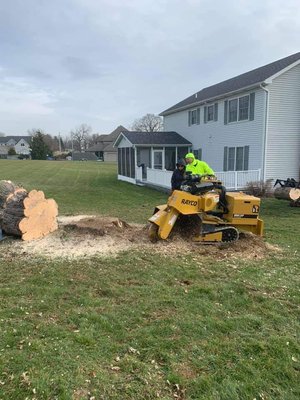 WOODPECKER TREE SERVICE - Updated January 2025 - 77 Photos - 5829