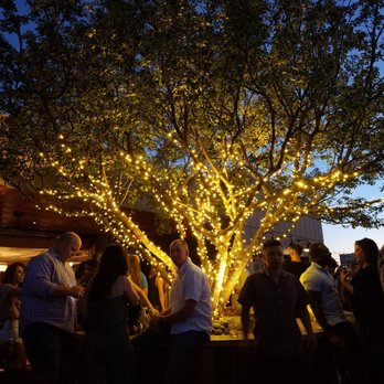 L.A. Jackson - Everyone just loves this tree. - Cocktail Bars Near Me - Nashville, Tennessee L.A. Jackson - Everyone just loves this tree. - Cocktail Bars Near Me - Nashville, Tennessee