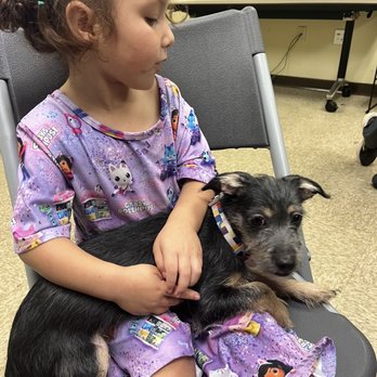 FRONT STREET ANIMAL SHELTER - Updated June 2024 - 315 Photos & 256