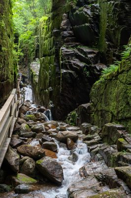 Flume Gorge by null