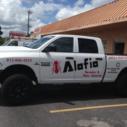 Alafia Termite and Pest Control - Once a Year Pest Control