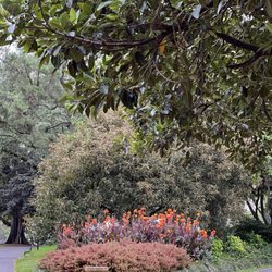 Flagstaff Gardens - Beautiful gardens in Melbourne