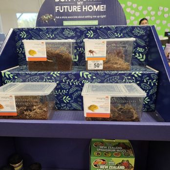 Petco - Tarantula and Pac-Man's - Pet Stores Near Me - Sacramento, California Petco - Tarantula and Pac-Man's - Pet Stores Near Me - Sacramento, California