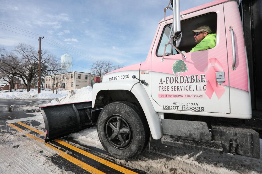 A-Fordable Tree Service - tree service in Annapolis, MD