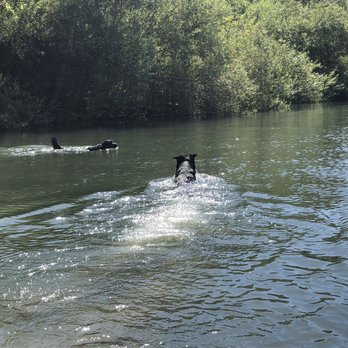 SOAR Inflatables & Russian River Adventures - Rafting/Kayaking Near Me - Healdsburg, California