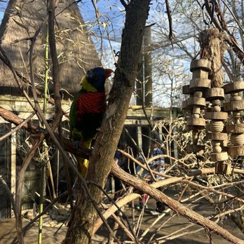 Nashville Zoo - Zoos Near Me - Nashville, Tennessee Nashville Zoo - Zoos Near Me - Nashville, Tennessee