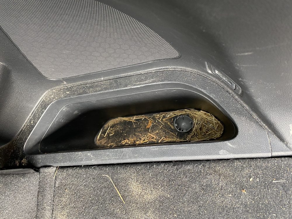 SONIC SOFT CAR WASH Updated October 2024 15 Photos & 43 Reviews