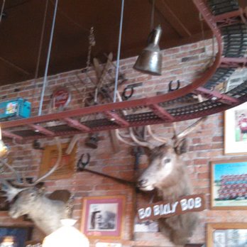 Wagon Train Coffee Shop - trophies on wall - Coffee & Tea Near Me - Truckee, California Wagon Train Coffee Shop - trophies on wall - Coffee & Tea Near Me - Truckee, California