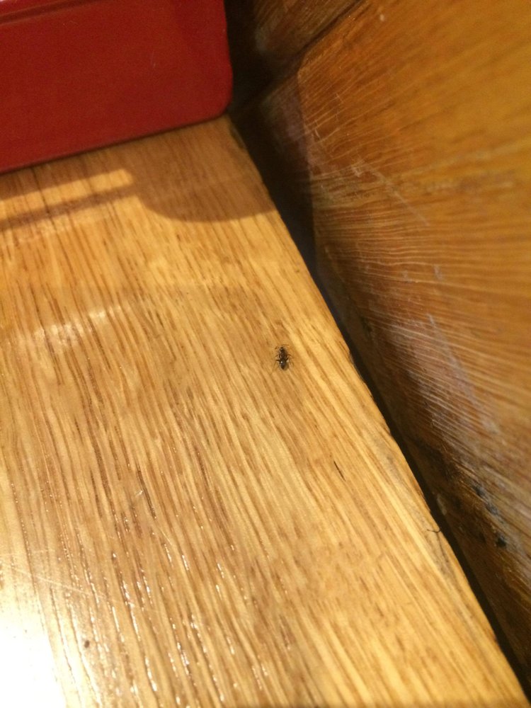 PIZZA HUT Updated April 2024 Anjou Boulevard, Wigan, Greater Manchester, United Kingdom