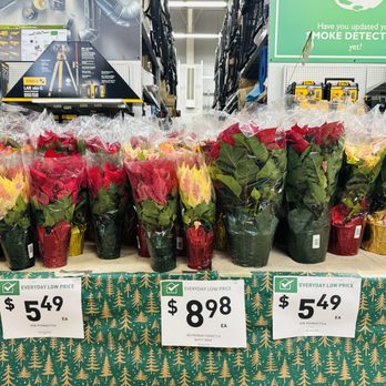 Friedmans Home Improvement- Sonoma - Poinsettia in November 2024 - Nurseries & Gardening Near Me - Sonoma, California Friedmans Home Improvement- Sonoma - Poinsettia in November 2024 - Nurseries & Gardening Near Me - Sonoma, California