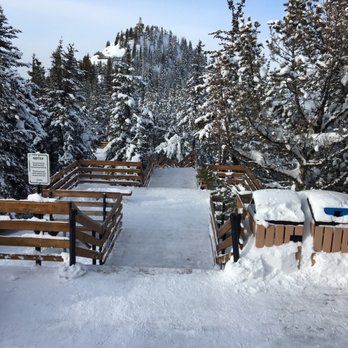 Banff Gondola - Boardwalk at the peak. - Parks Near Me - Banff, Alberta