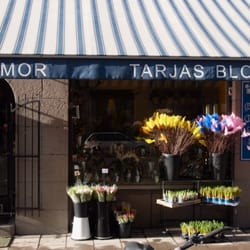 Tarjas