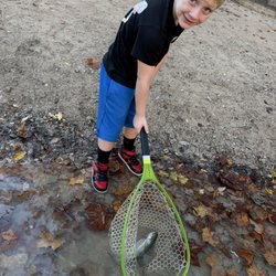 Turner Falls Park - First fish on a fly rod!