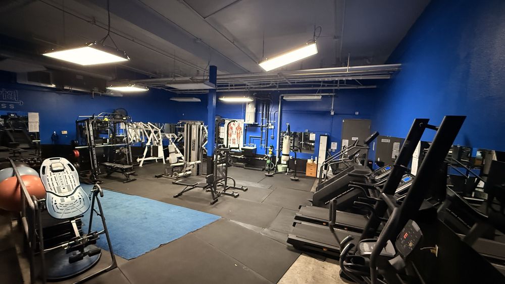 Immortal Fitness Logo