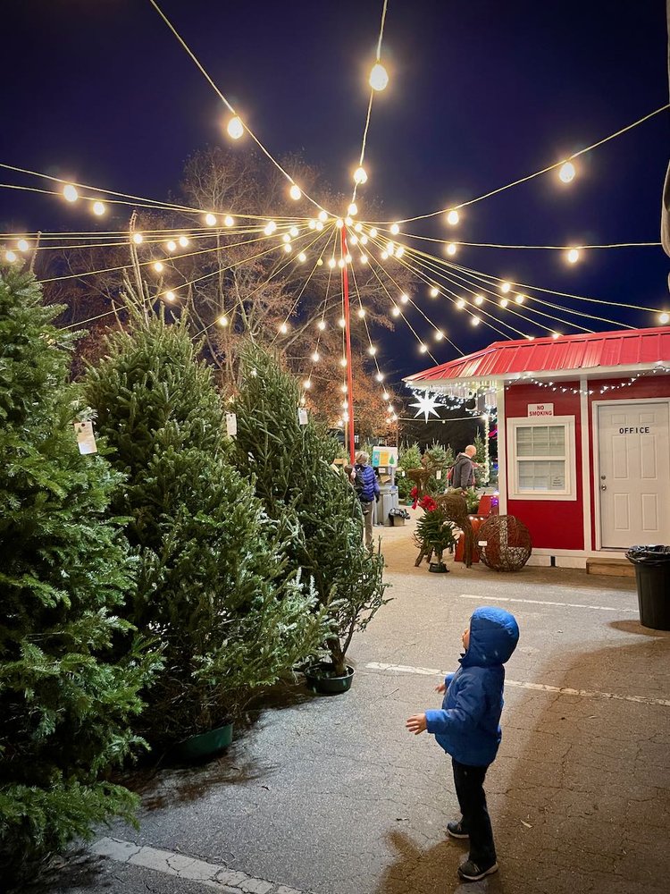 TROSA TREE LOT TEMP. CLOSED Updated September 2024 20 Photos 201 S Estes Dr, Chapel Hill