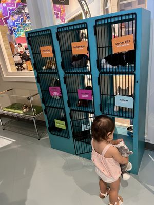 Fort Bend Children's Discovery Center by null