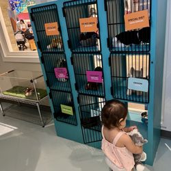 Fort Bend Children's Discovery Center