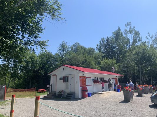 The Clam Digger by null