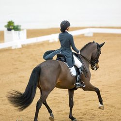 Baywood Equestrian Center - Susan Ighani of Ighani Sporthorses - Dressage Trainer at Baywood