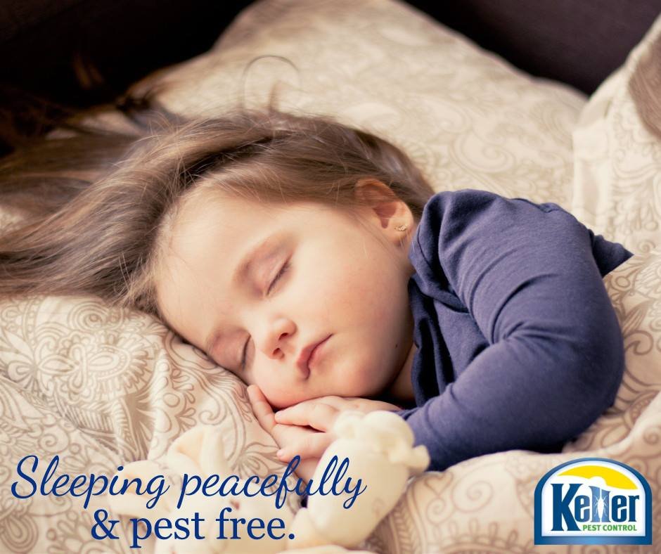 KELLER PEST CONTROL Updated June 2024 8135 Cox's Dr, Portage