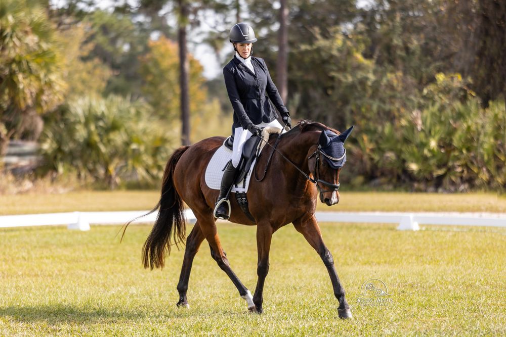 Mikenda Farm - equestrian in Christmas, FL