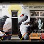 Photo of Signs and wonders - Tattoostudio