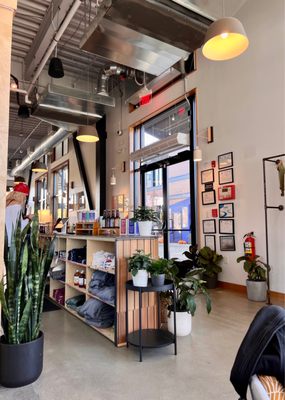 Lamplighter Brewing Co. - CX by null