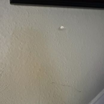 Mayzlin Relocation - Dent in my wall - Movers Near Me - Charlotte, North Carolina Mayzlin Relocation - Dent in my wall - Movers Near Me - Charlotte, North Carolina