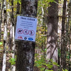 Nepaug State Forest - Some trails closed