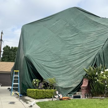 Go-Direct Fumigation - Tent being put up on my house during fumigation - Pest Control Near Me - El Monte, California