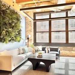 The Silk Thumb - Custom hand woven green wall for your office