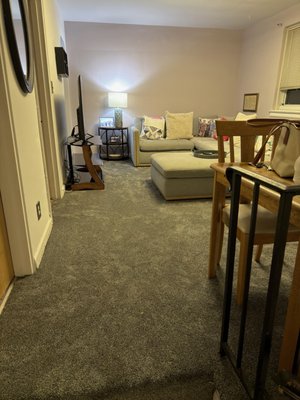 Millennium Class Carpet