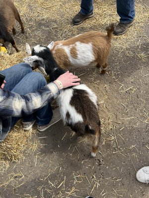 Schram Haus Brewery by null