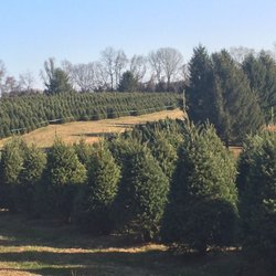 Spruce Grove Tree Farm