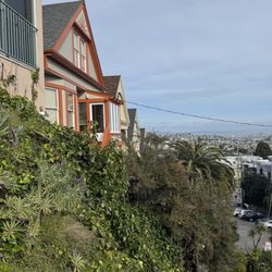 22nd Street Jungle Stairs