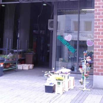 Blumen Calla - Flowers & Gifts Near Me - Cologne, NW