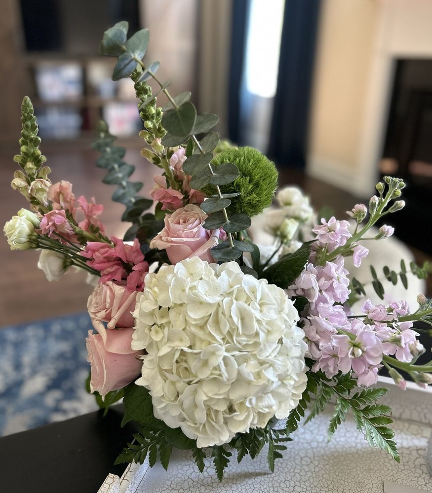 MOTHER OF WILD Updated September 2024 45 Photos & 12 Reviews 167 Porters Neck Rd